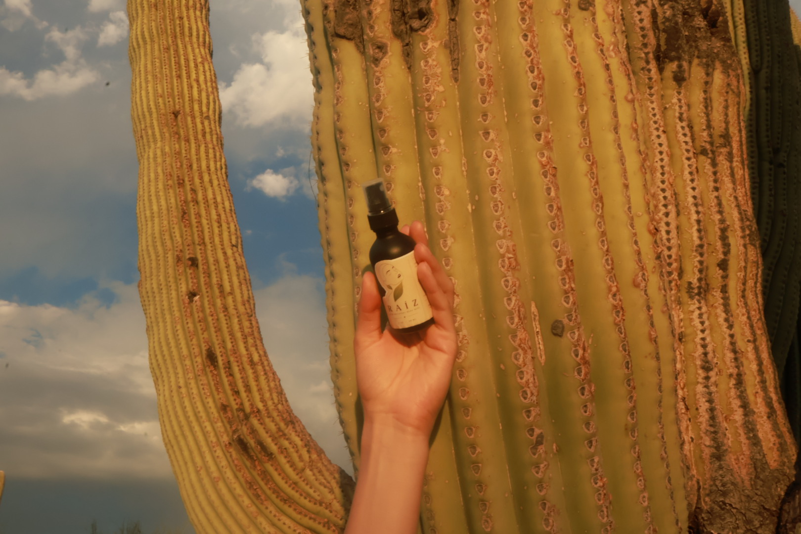 RAÍZ held up against a saguaro under a wide desert sky